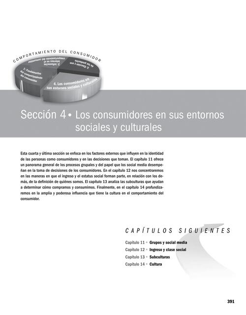 CAP 11 Comportamiento del consumidor