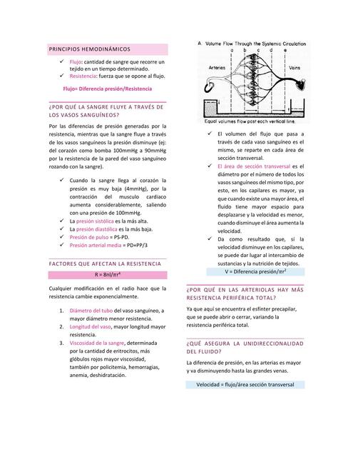 Fisiologia sistema cardiovascular 2