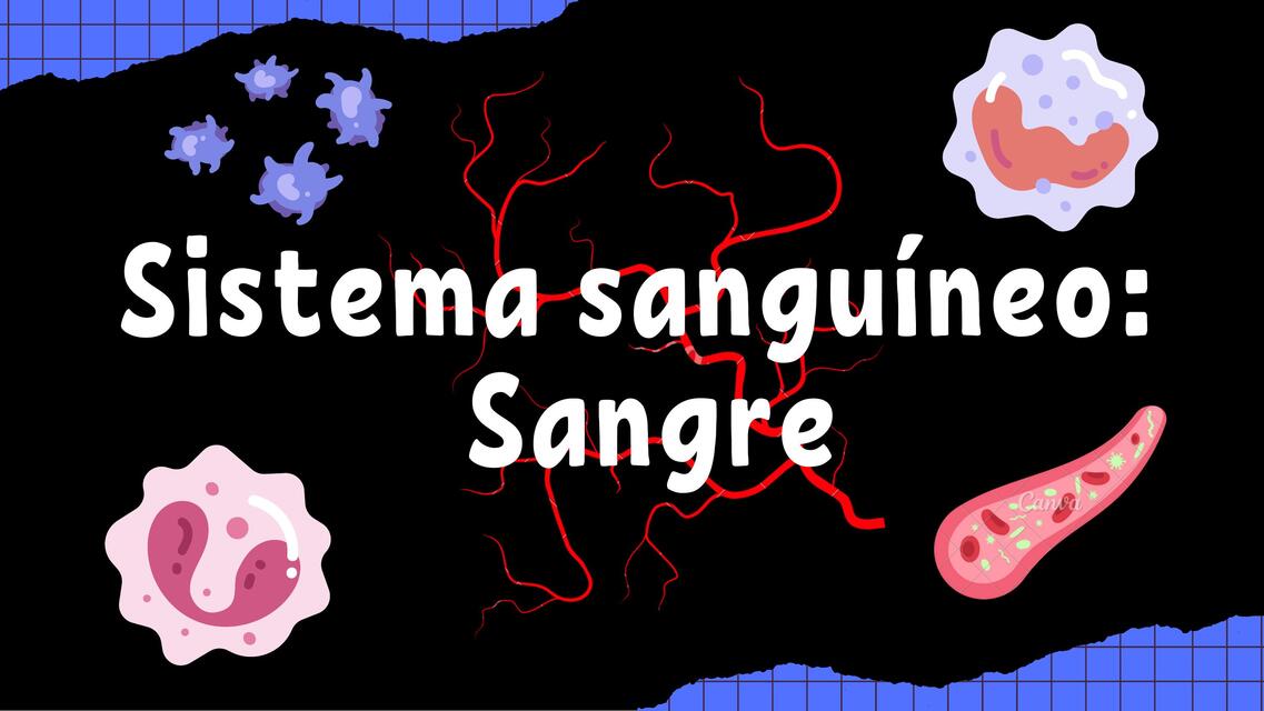 HISTOLOGÍA Sistema sanguineo Sangre