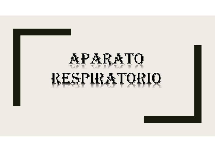 Aparato respiratorio