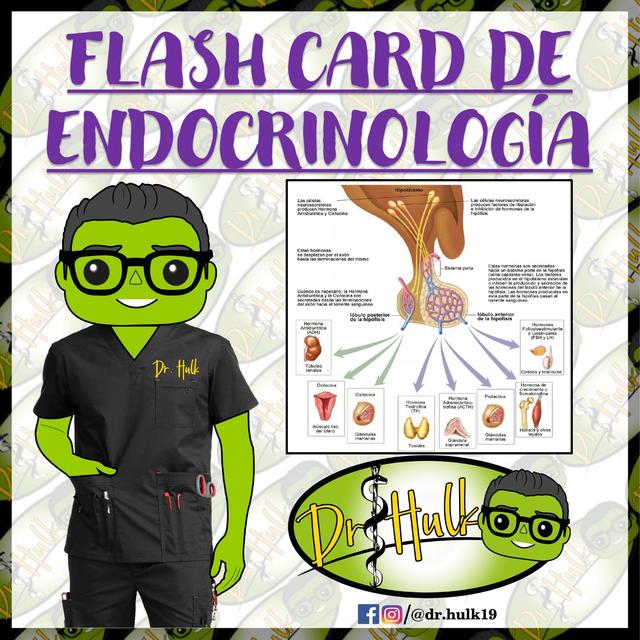 ENDOCRINOLOGIA PARTE 1 DR HULK