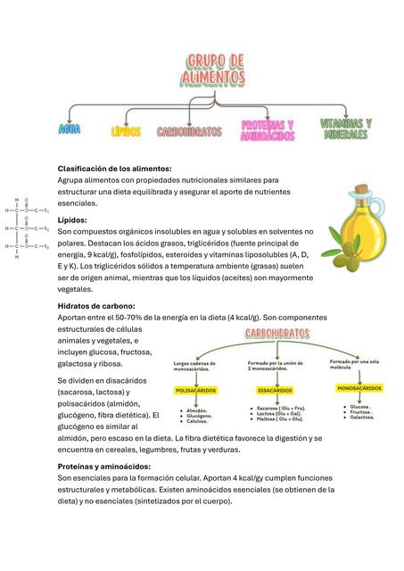 Grupos de alimentos