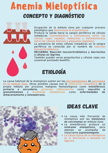 Anemia Mieloptisica Salud Apuntes De Medicina Udocz