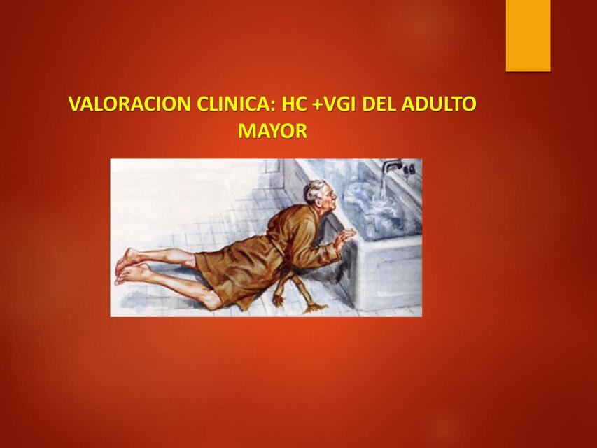 VALORACION CLINICA HCL VGI ADULTO MAYOR