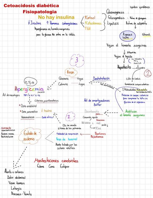 Cetoacidosis diabética