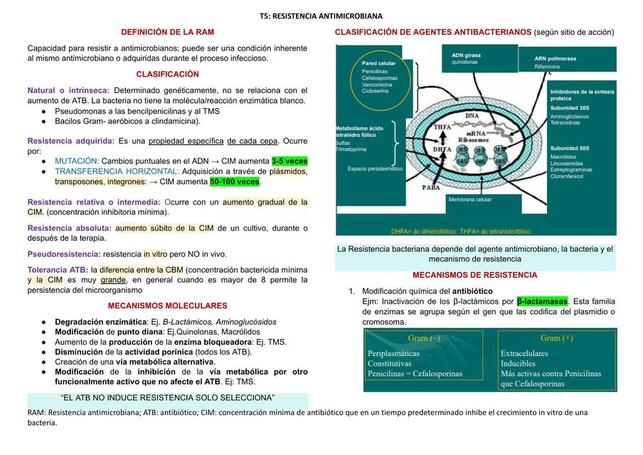 RESISTENCIA ANTIMICROBIANA