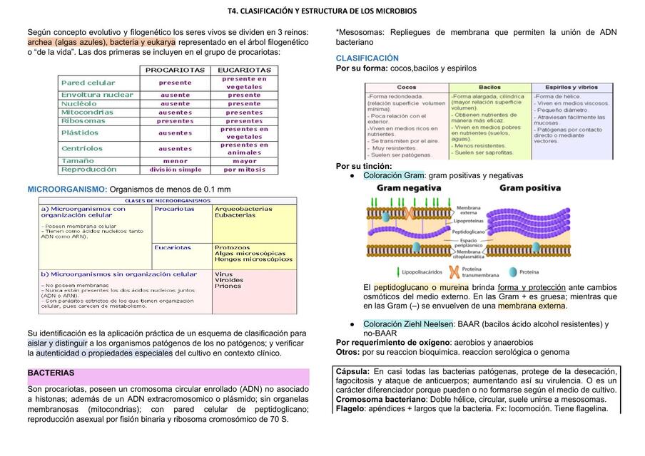 Resumen T4 1 CLASIFICACIÓN Y ESTRUCTURA MIRCOBIOLÓ