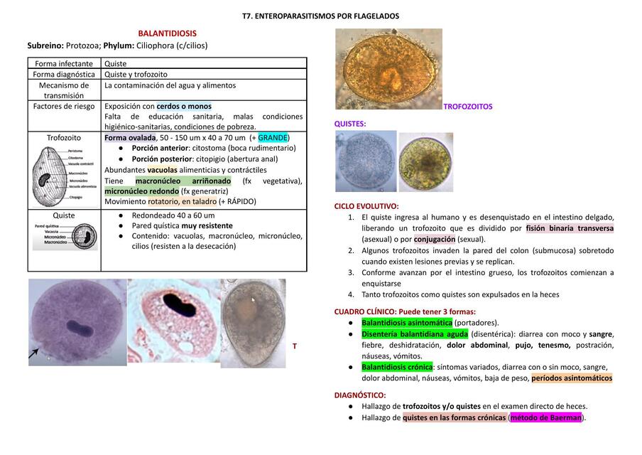 Balantidiosis