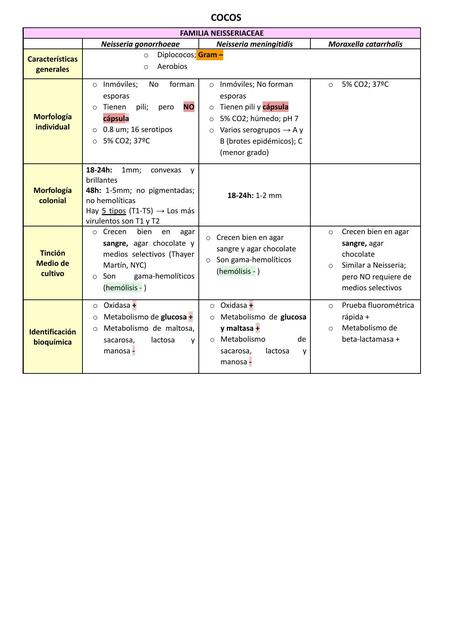 Familia Neisseriaceae: Neisseria gonorrhoeae, meningitidis, catarrhalis