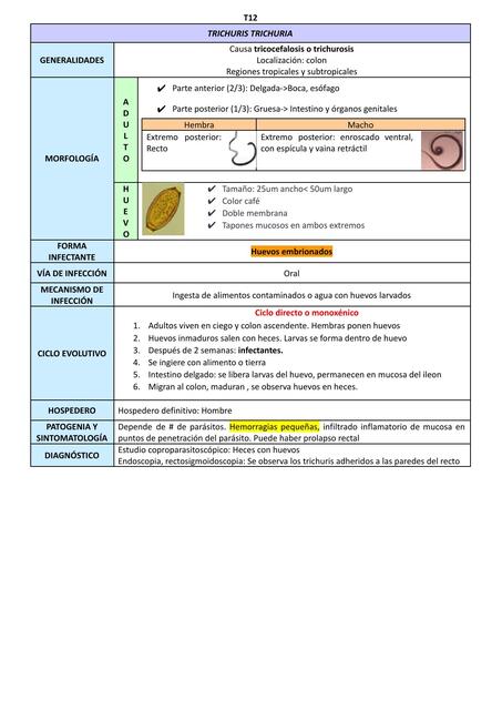 Trichuris trichuria