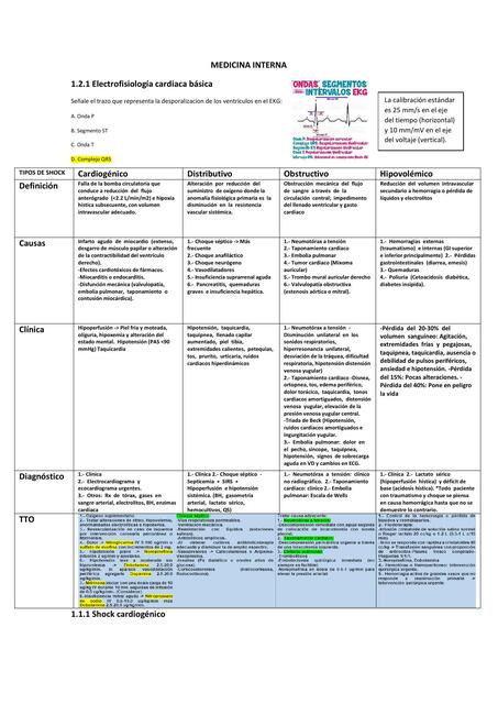 RESUMENES TEMAS CACES