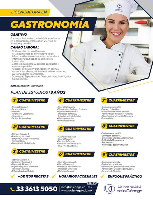 PLAN DE ESTUDIOS GASTRONOMIA