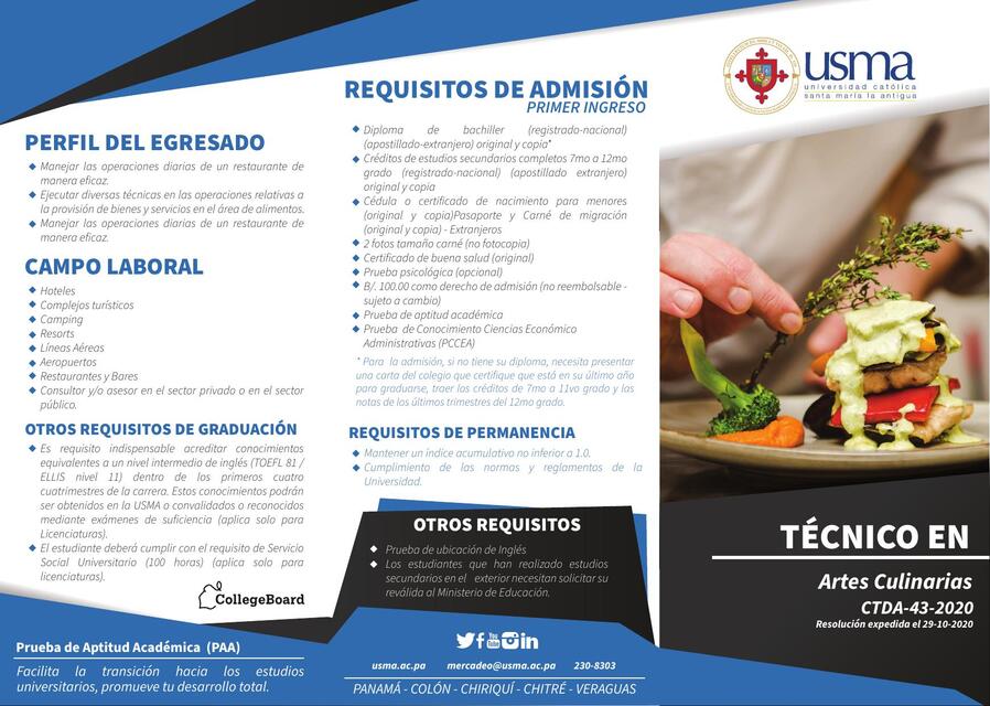 Tecnico en artes culinarias