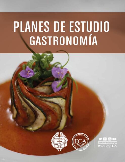 FCA Planes Gastronomia