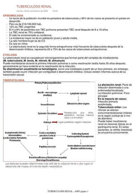 13 TUBERCULOSIS RENAL AMN