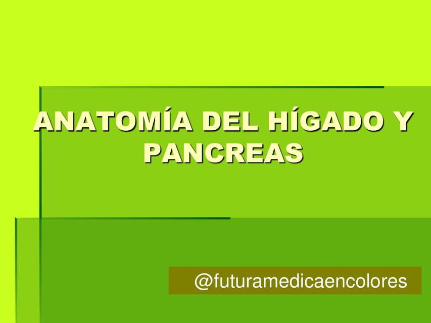 Anatomía e histología del hígado y páncreas