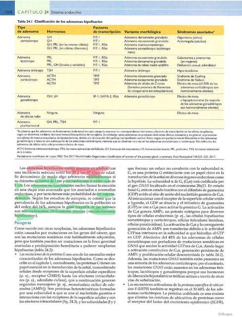 Patologia endocrina - Robinson