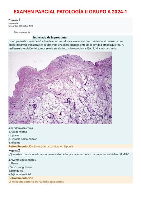 EXAMEN PARCIAL PATOLOGÍA II GRUPO A 1