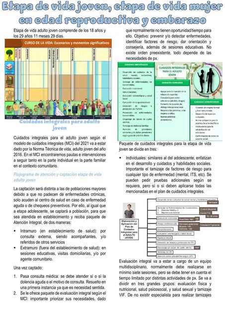 S14 Etapa de vida joven etapa de vida mujer en eda