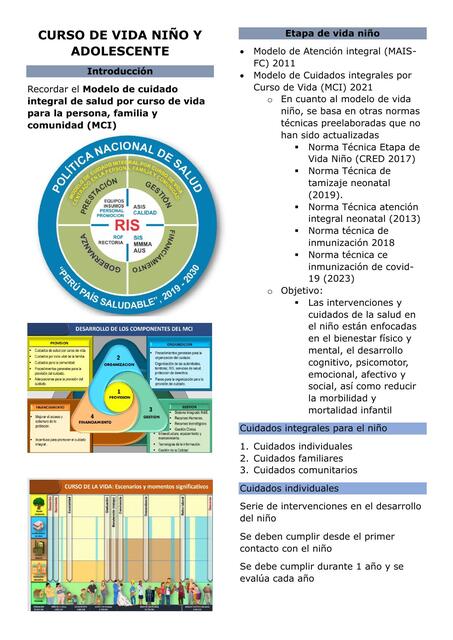 S13 Curso de vida niño y adolescente 1