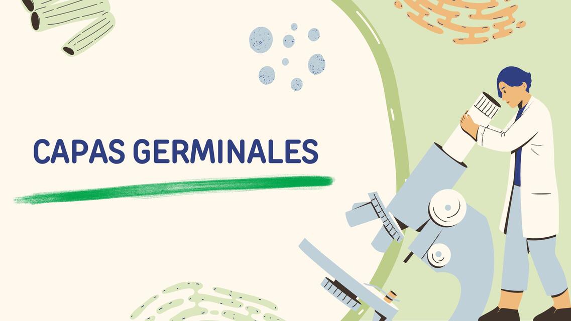 Capas germinales