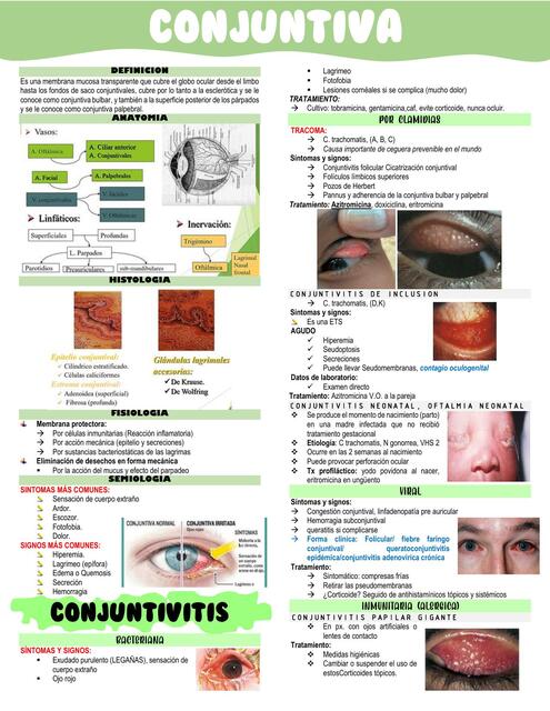 Conjuntiva