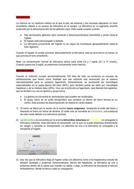 Flashcards de MEDICINA INTERNA ICTERICIA | Por Samuel Petro | uDocz