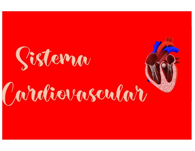 Sistema Cardiovascular