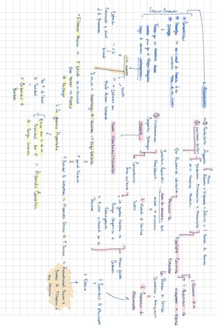 Fisiopatología de la insuficiencia cardiaca ESQUEMA