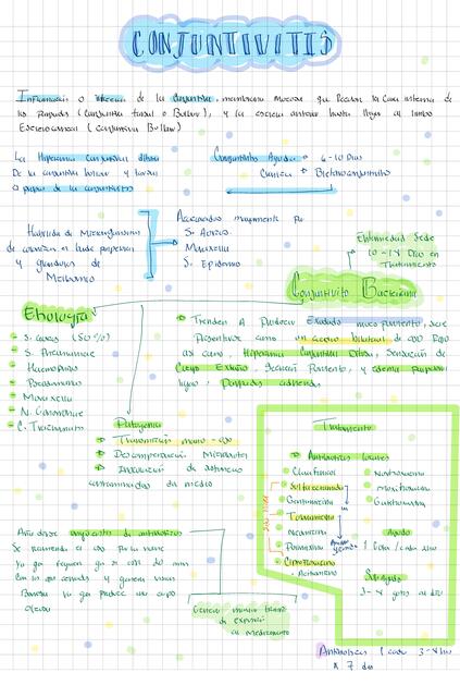 Conjuntivitis resumen patología