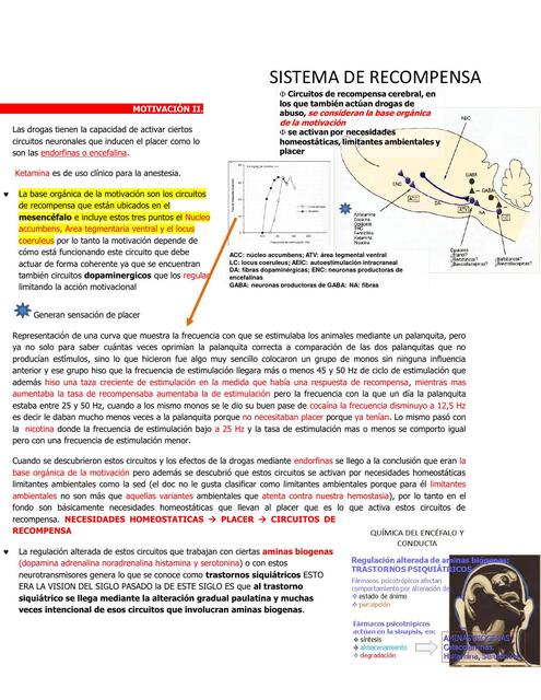 1 1 BASES NEURALES DE LA CONDUCTA INSTINTIVA Y DE