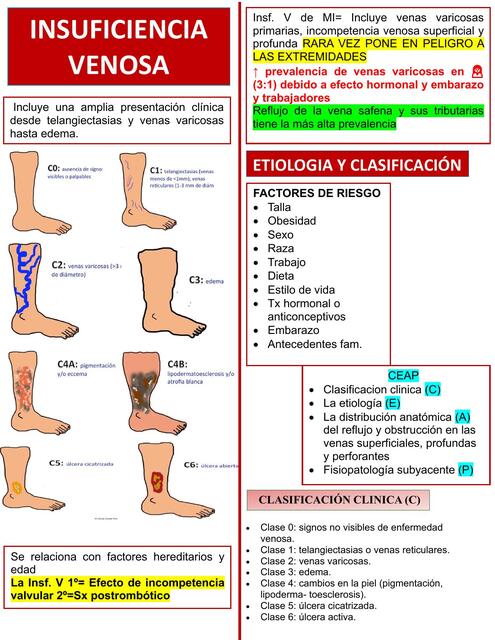 INSUFICIENCIA VENOSA