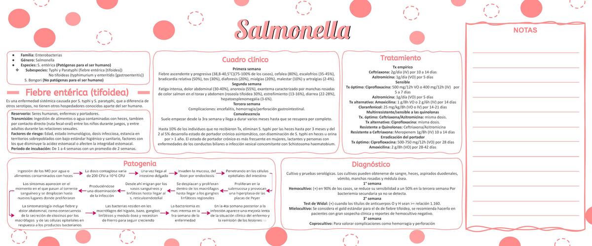 SALMONELLA-INFECTOLOGIA