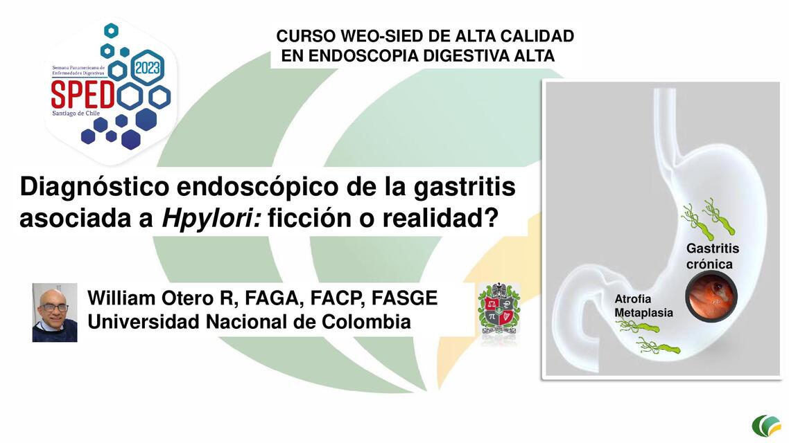 Hpylori Endoscopia Emura Panamericabo Chile 23