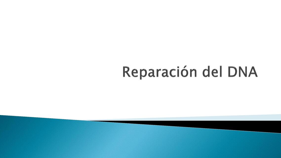 Reparación del ADN 22 1