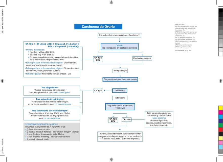 🔜 Algoritmo Carcinoma de Ovario 🎀​