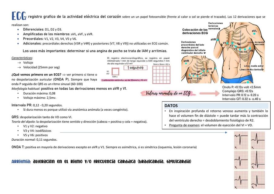 ECG ERBETTA FINAL