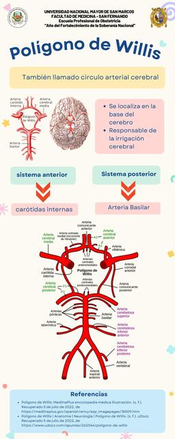 Polígono de Willis