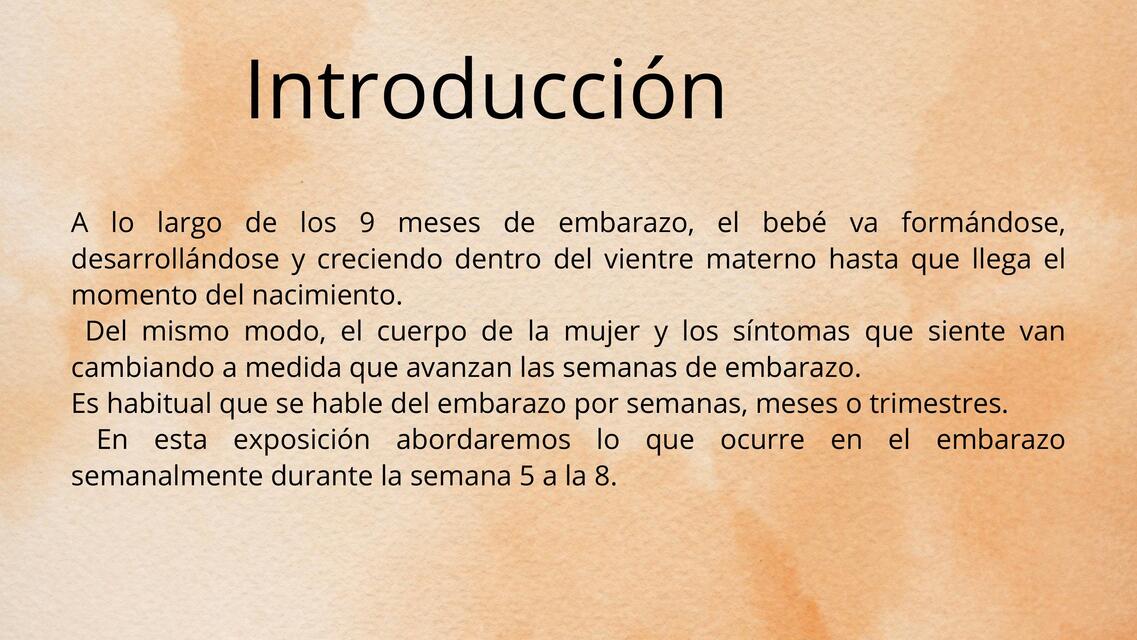 Embriología semana 5 a la semana 8 de gestación 2