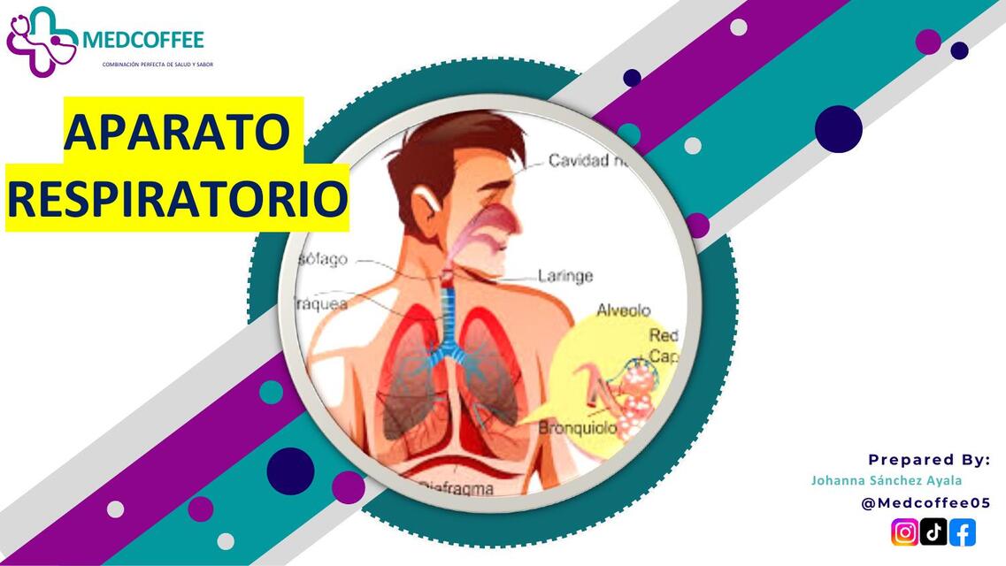 SEMIOLOGIA DEL APARATO RESPIRATORIO