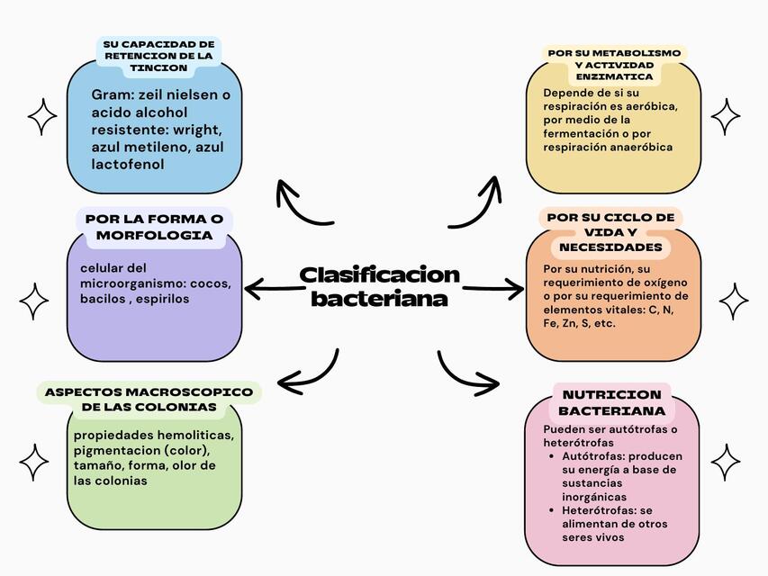 Clasificación bacteriana