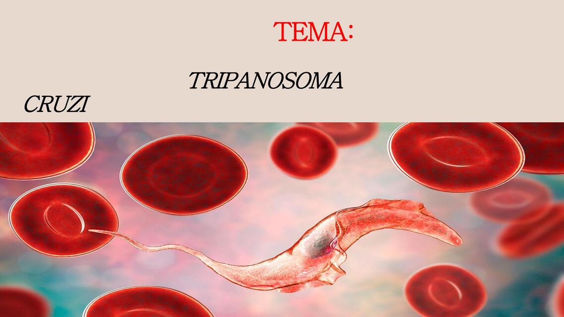 tripanosoma cruzi