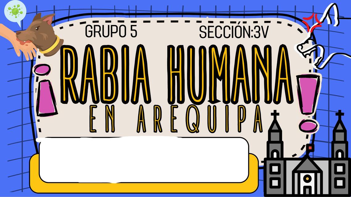 Rabia Humana en Arequipa, Perú