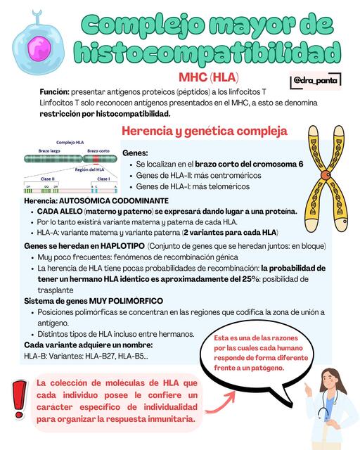 Inmunología MHC