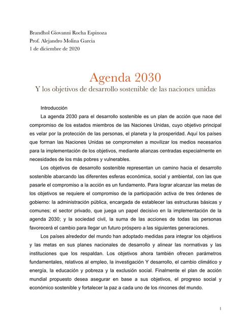 Agenda Y Objetivos Del Desarrollo Sostenible