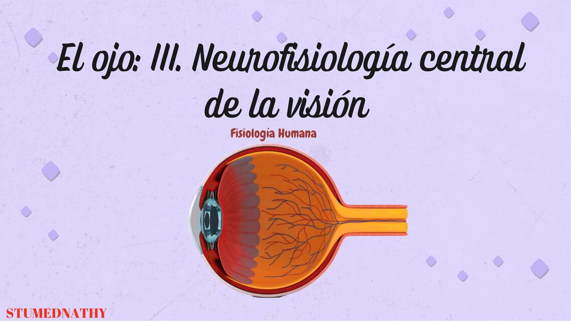 Neurofisiologia del ojo