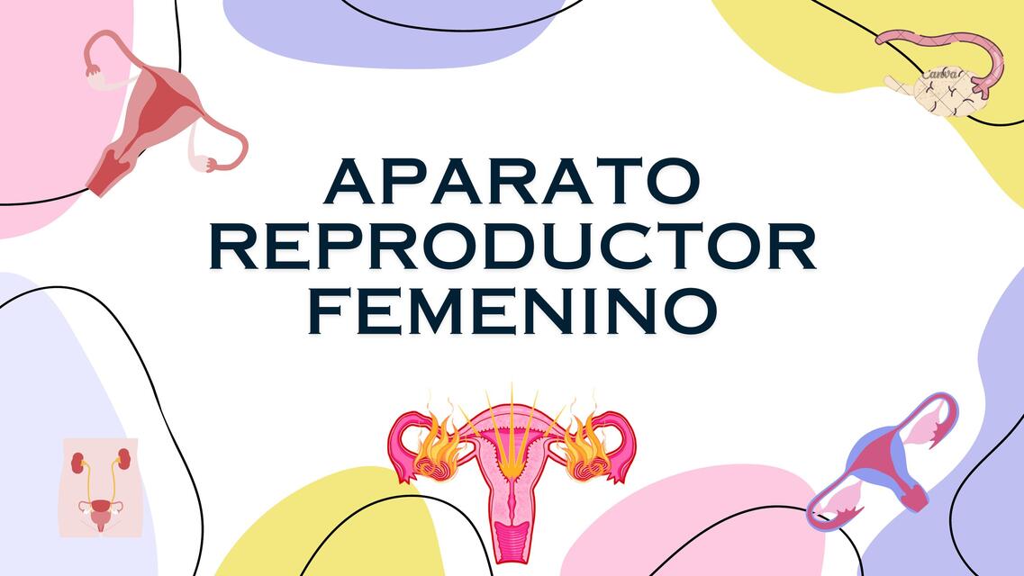 Sistema reproductor femenino