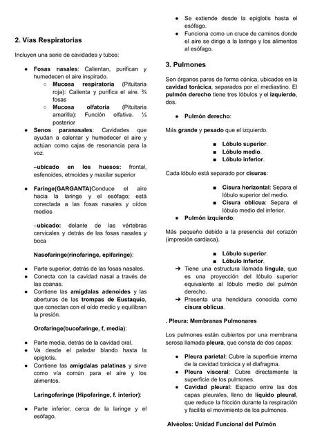 SISTEMA RESPIRATORIO Y SANGUINEO