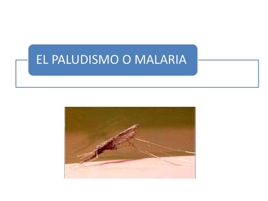 Modulo 1 Capacitacion Paludismo