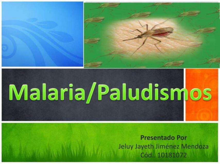 malaria